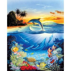 Figured'Art Peinture par Numéro Adulte avec cadre Dauphins dans le lagon - Kit DIY Numéro d'Art - 40x50cm toile tendue sur châssis