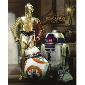 Pyramid International Affiche mini Star Wars Episode 7 Droids 40 x 50 cm