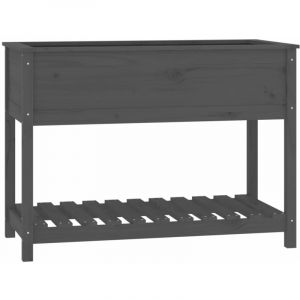 VidaXL Jardini&egrave;re avec &eacute;tag&egrave;re Gris 111,5x54x81 cm Bois massif de pin