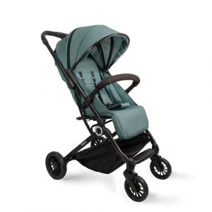 Interbaby - Poussette Canne Voyage | Poussette Compacte de la Naissance &agrave; 48 Mois ou 22 kg | Bouton de Pliage Rapide, Amortisseurs, Capote XXL Interchangeable, Accoudoirs | Poussette Verte