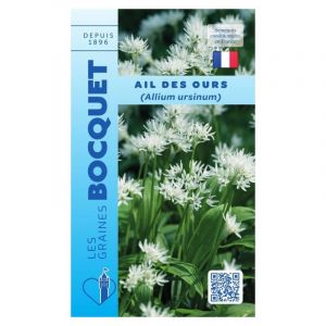 Ail des ours - 0,5g