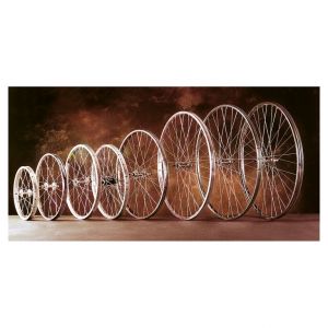 Roue VTT arrière avec 350 rayons en aluminium Gurpil
