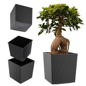 Cache-Pot avec Insert de Fleur Graphite 25cm - Kadax