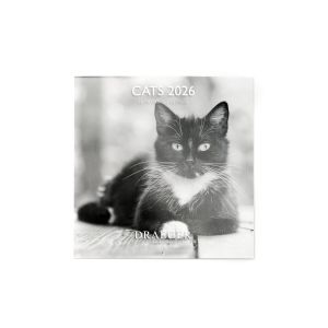 Draeger Grand Calendrier Mural 29x29 cm 2026 - Plusieurs Styles