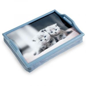 AIDAPT Plateau d'&eacute;criture ou de Lecture en bois avec coussin VM938E - Convient pour les repas, les loisirs et l'artisanat