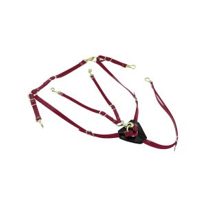 Collier de chasse pour cheval et martingale en biothane avec boucles en laiton Lakota