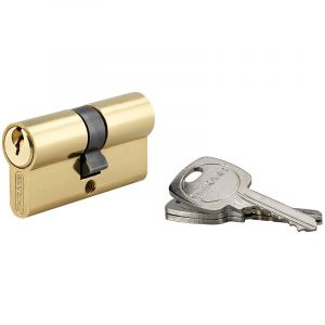 THIRARD Cylindre de serrure double entrée std unikey (achetez-en plusieurs, ouvrez avec la même clé), 30x30mm, 3 clés, laiton