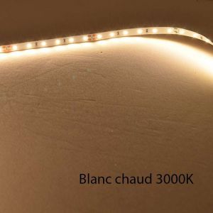 Leclubled - Ruban led Blanc 60 LED/m 4,8W/m IP68 5m - Blanc Chaud 3000K