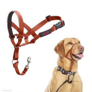 Halti Licol - pour Que Votre Chien arr&ecirc;te de Tirer sur sa Laisse, Partie enti&egrave;rement matelass&eacute;e sur Le museau, Colliers Anti-Traction pour Chiens de Taille Moyenne (Taille 3, Orange Br&ucirc;l&eacute;)
