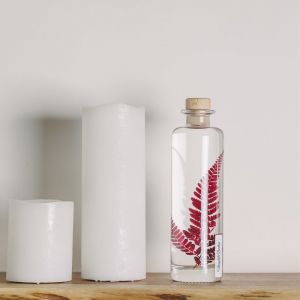 Th&eacute;ophile Berthon Plante immerg&eacute;e Rumohra rouge H21