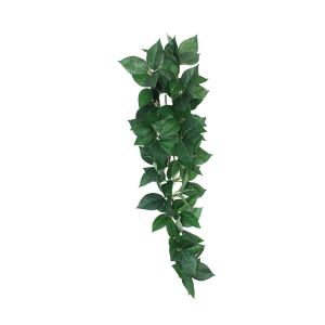 Komodo Abri pour reptiles Sumatra Hanging Vine