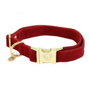 Collier pour chien Kentucky Corduroy