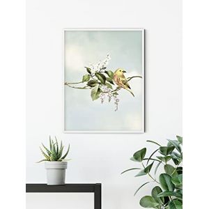 Komar Affiche d'art Gazouillis des Oiseaux - Taille: 30 x 40 cm - coloré