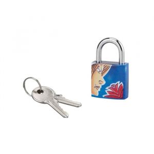 THIRARD Cadenas à clé Vierge, acier, intérieur, anse acier, 30mm, 3 clés