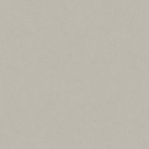 A.S. Creation Papier peint intiss&eacute; 376954 New Life - Tapete Einfarbig Gris Marron - 10,05 x 0,53 m