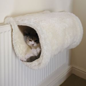 Image de Rosewood Tunnel Luxury Cat