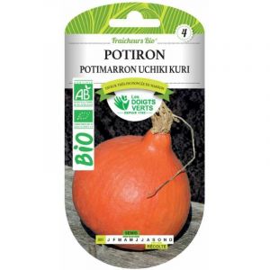 Les doigts verts Graines potiron potimarron Uchiki Kuri bio