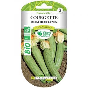 Les doigts verts Courgette Blanche de Gênes Bio