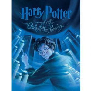 Puzzle 1000 piÃ¨ces : Harry Potter : Ordre du PhÃ©nix