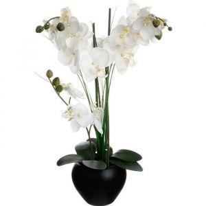 Orchidée Artificielle avec Vase en Céramique H53cm - Noir - Blanc|Noir