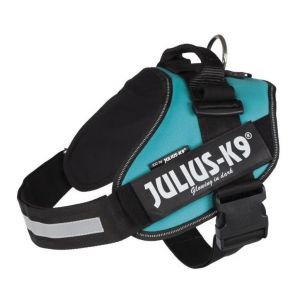 Julius K9 Harnais Power IDC 2 L-XL : 71-96 cm-50 mm Pétrole