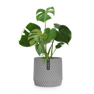 Blumfeldt Pot de fleurs Heusden Fox & Fern fait &agrave; la main - en polystone - Gris