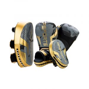 Set d'entrainement boxe DF SPORTS - Mod&egrave;le Arena - Gris/Or - 10oz