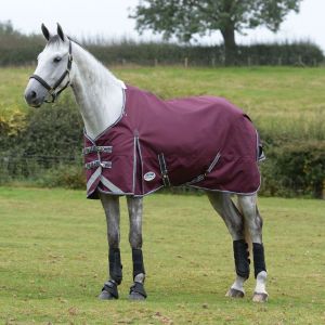 Weatherbeeta Couverture d'extérieur pour cheval Comfitec Plus Dynamic II 0g