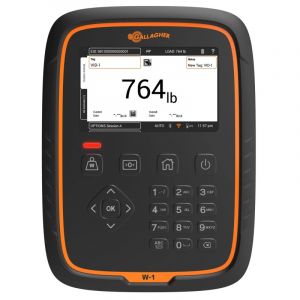 APS Indicateur de Pesée W1