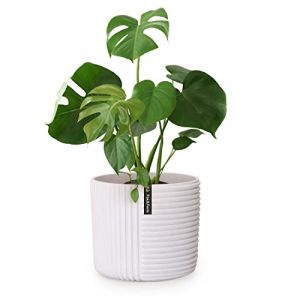 Fox & Fern Pot de Fleur Interieur, Pot pour Plantes en Polystone, Cache Pot Plante Interieur et Extérieur Résistant UV et Gel, Pot Fleur Exterieur Grande Taille, Jardinieres Exterieur Bouchon Drainage
