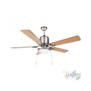 Orbegozo Ventilateur de Plafond à 5 Pales Réversibles, 120 cm, léger, Inox, CP61132