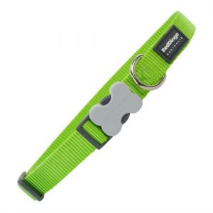 Collier pour Chien Citron 1 5 2436 cm