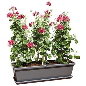 Elho Soucoupe Barcelona XL L20,9xH3,5xP74