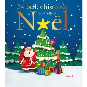 Editions Fleurus Livre de 24 belles histoires pour attendre Noël