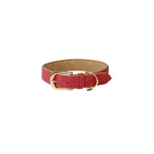 Collier pour chien en cuir vegan Kentucky