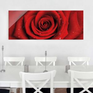 Image de Bilderwelten Impression sur verre Rose rouge avec des gouttes d'eau - Panorama Grand - Dimension: 30cm x 80cm