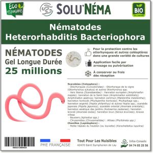 Solunéma - SOLUNEMA - Nématodes Heterorhabditis Bacteriophora - 25 Millions