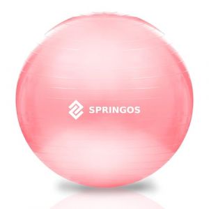 SPRINGOS Balle de Gymnastique Balle de Fitness Balance Ball avec Pompe à air 75 cm pour Pilates physiothérapie Grossesse