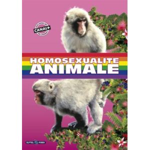 Image de Homosexualité animale