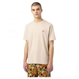 Dickies T-shirt Manche Courte Mapleton XS Cement