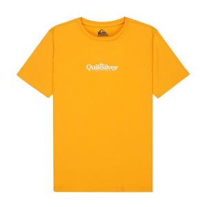 Quiksilver Tee-shirt &agrave; manches courtes gar&ccedil;on fineline