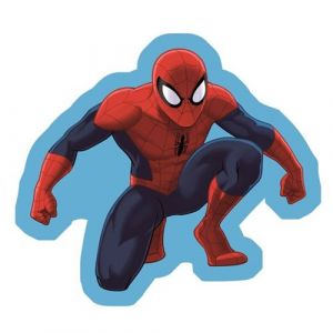 Aymax Coussin en Forme de Spider Man
