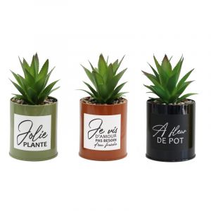 Ligne Deco Lot de 3 succulentes artificielles en pot &agrave; message en m&eacute;tal color&eacute; 17cm