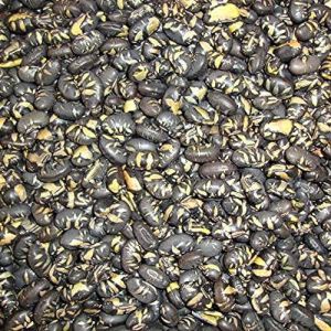 Image de Fèves de Soja noires 1 Kg,grillées, légèrement salées,riches en protéines,sans Gluten et sans OGM. Dorimed