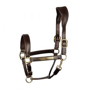 Harry's Horse Licol pour cheval en cuir anatomic
