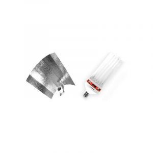 Image de Kit lampe cfl 250W mixte 1