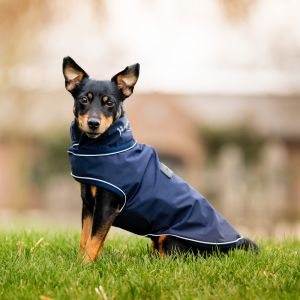Manteau de pluie pour chien Horseware Signature