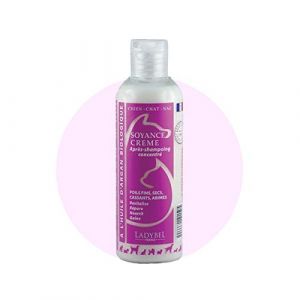 Ladybel SOYANCE Creme 200ML
