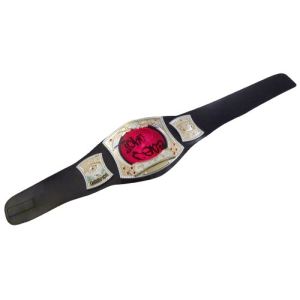 Mattel Ceinture Champ Electrovision WWE