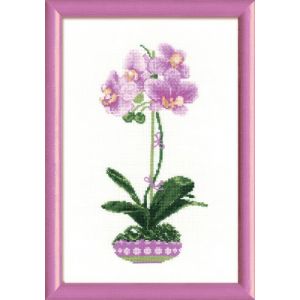 Image de RIOLIS Kit de Broderie au Point de Croix Motif orchidée Lilas